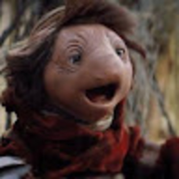 Meet your Posher, Jake - Picture 1 of 1